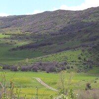 flat-tops-hunting-scenery-meadow