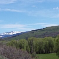 flat-tops-hunting-scenery-meadow