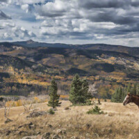 flat-tops-hunting-scenery-horse-colorado
