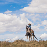 flat-tops-hunting-scenery-horse-colorado