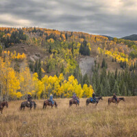 flat-tops-hunting-colorado-scenery-horse