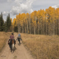 flat-tops-hunting-scenery-horse-colorado