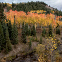 flat-tops-hunting-colorado-scenery