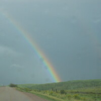 flat-tops-hunting-scenery-rainbow-meadow